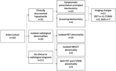 Imaging for assessment of cancer treatment response to immune checkpoint inhibitors can be complementary in identifying hypophysitis